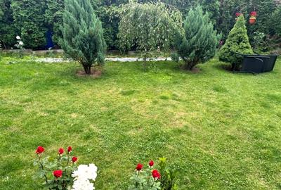 Casa confortabila si spatioasa de vanzare in Frasin - ideala pentru familii - 8