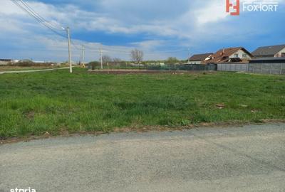 Spațiu comercial, în Ghiroda - 2