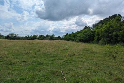 Casa 115 m sat Pomi 1 Hectar pamant - 1