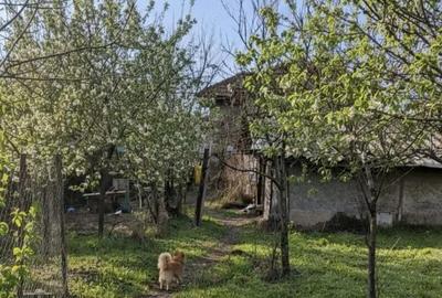 Teren de 1451 mp, în Podari - 9