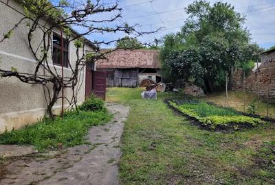 Casa de vanzare la tara - 2