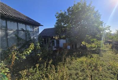 Teren 685 mp + Casa batraneasca, Ștefanesti - Golesti - 7