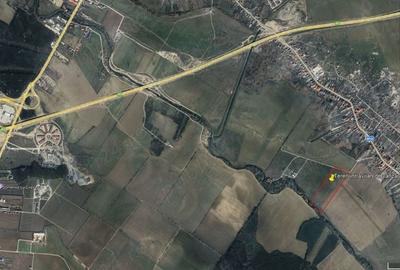 Teren de 50000 mp, în Sintești - 5