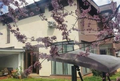 Casă cu 5 camere cu Teren 850 Mp în Sântana de Mureș - 11