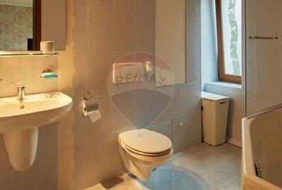Casa / Vila cu 5 camere de vanzare pe Cezar Petrescu - 11