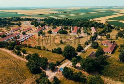 Ferma complet utilată – 30 ha teren comasat cu 11.500mp grajduri renovate Timiș - 9