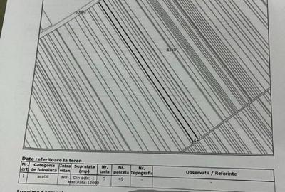 Teren agricol extravilan de 17000 mp, în Priseaca - 6