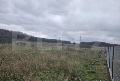 Teren de 1184 mp, în Abator - 1