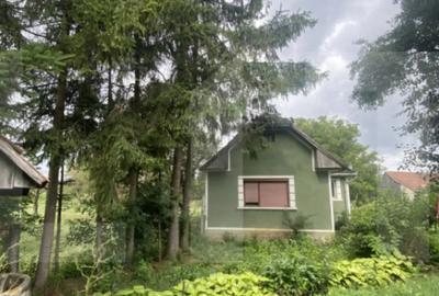 Casă cu 3 camere cu Teren 2100 Mp în Central - 10