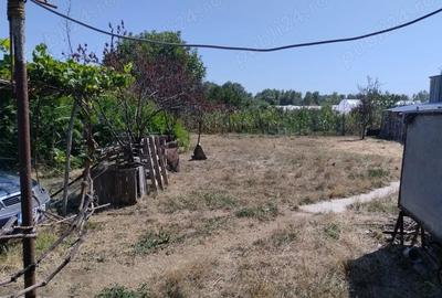 Teren intravilan + casa batraneasca - 7