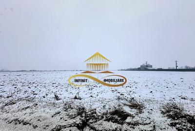 Teren de 4579 mp, în Schineni (Săucești) - 1