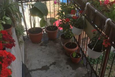 Vand apartament ultracentral, la casa, in Lugoj - 2