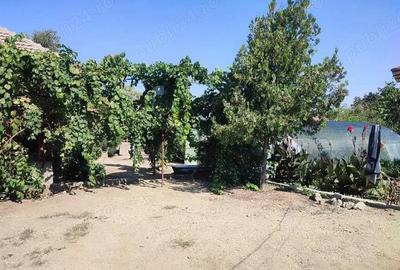 Casa batraneasca 5 camere, Loc. Rosiori , jud. Mehedinti Casa batraneasca 5 camere, Loc. Rosiori , jud. Mehedinti - 3