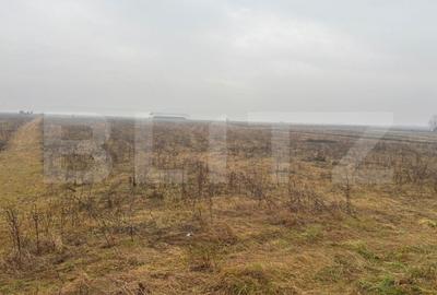 Teren Intravilan, 3000 mp, zona Chintelnic - 4