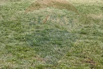 Teren Construcții intravilan de 405 mp, în Partoș - 2