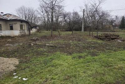 Casă cu 1 camere în Ibrianu - 2