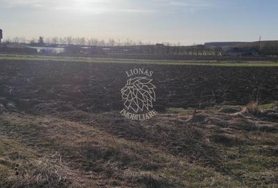 Teren agricol intravilan de 7800 mp, în Livada (Iclod) - 5