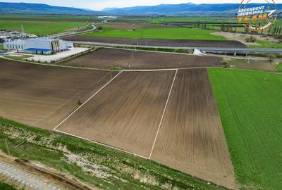 Teren Construcții intravilan de 6400 mp, în Exterior Est - 1