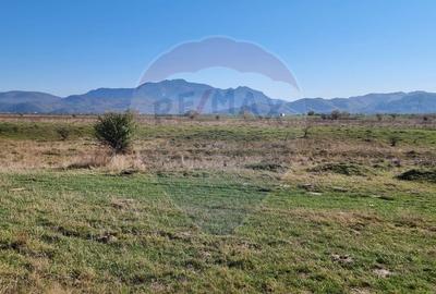 Teren Extravilan - Tohanul Nou, Zona Muntilor Bucegi - 5