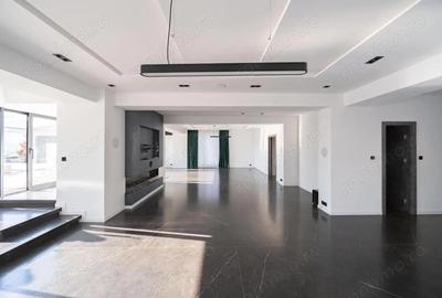 Penthouse spectaculos, zona Barbu Vacarescu, cu vedere la lacul Tei - 5