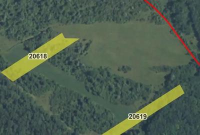 Teren de 12300 mp, în Grebănu - 6