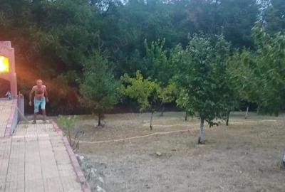 Casă cu Teren 2800 Mp în Văleni - 1