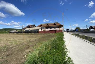 Teren intravilan 7.295 mp – Argeselu, Maracineni, AG - 5