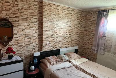 Casă cu 4 camere cu Teren 800 Mp în Pecica - 7