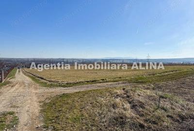 Teren de 680 mp, în Peștișu Mare - 2