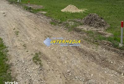 Teren de 585 mp, în Cetate - 6