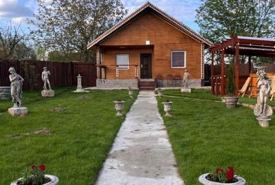 Proprietate specială, de 850 mp, în Poiana (Schitu Duca) - 14