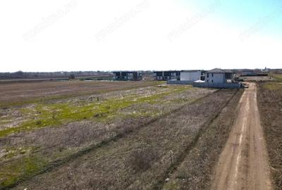 Teren de 319 mp, în Berceni - 6