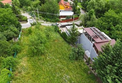 Breaza de Sus - Gura Beliei - teren cu vedere spre munte - 10