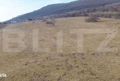 Spațiu comercial, în Viișoara - 2