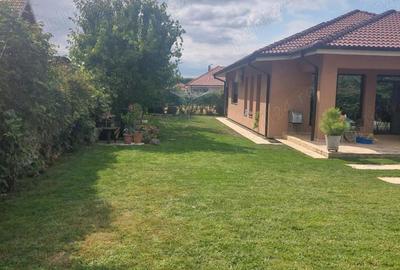 Casă cu 4 camere cu Teren 700 Mp în Cantemir - 11