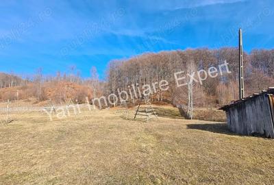 Teren de 4681 mp, în Bărăști - 7