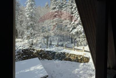 Vanzare Vila Exclusivista stil Tirolez in  Sinaia/Prahova/Furnica - 27