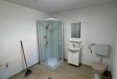 Casă cu 3 camere cu Teren 300 Mp în Valea Borcutului - 6