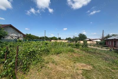 Casă cu 3 camere cu Teren 1930 Mp în Cojești - 1