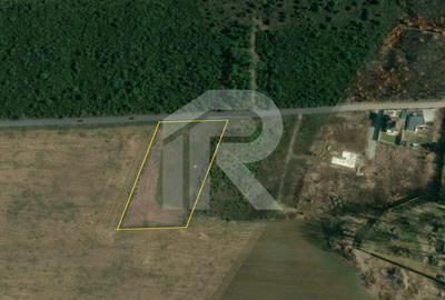 Teren Construcții intravilan de 5254 mp, în Balotești - 4