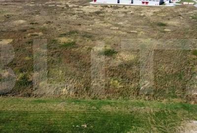 Teren de 11600 mp, în Remetea Mare
