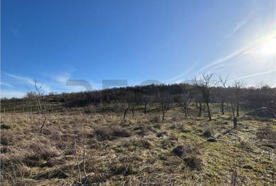 RECO Teren intravilan 2460 mp Santelec - 2