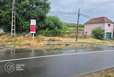 Teren de 6000 mp, în Ghioroc