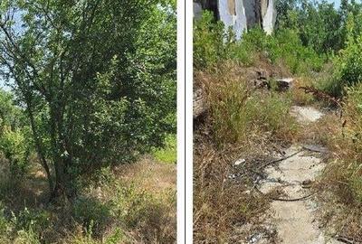 Casa si teren Cucuruzu, ID: R2609648 - 11