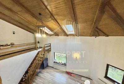 CASA 5 CAMERE 252 MP TEREN 1362 MP DRAGOSLAVELE ARGE? - 15