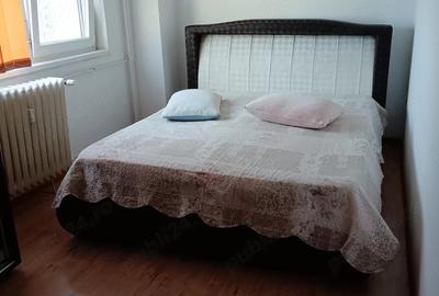 Apartament cu 3 camere decomandat în Lujerului - 10