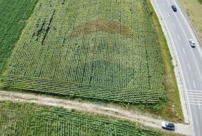 Teren agricol extravilan de 3500 mp, în Ilișești - 4