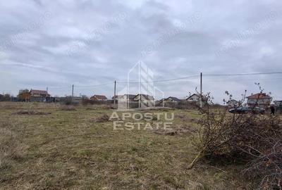 Teren intravilan 500mp Mandruloc - 4