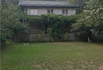 Casa de vacanta in Arges - 1
