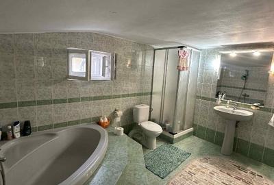 Casa + Livada in Borzesti - 10